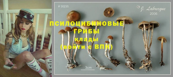 винт Богданович