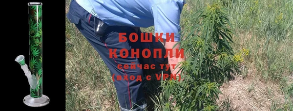 винт Богданович