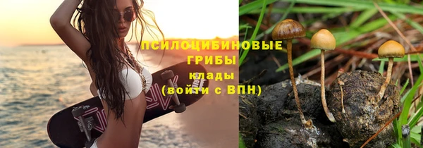 СК Богородицк