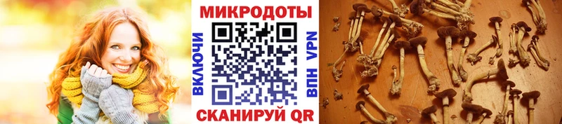 Галлюциногенные грибы мицелий  Тольятти 